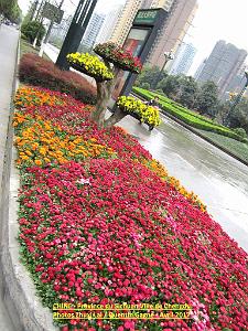 Chengdu avril 2017 - 006